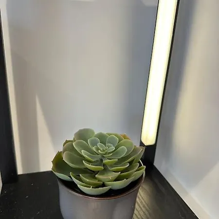 Whitsun - Brand New Listing! Διαμέρισμα *