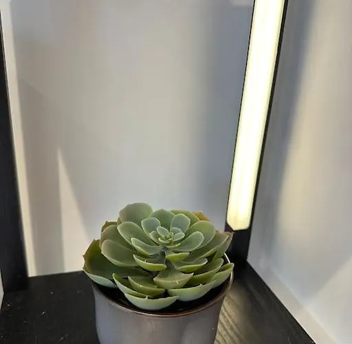 Whitsun - Brand New Listing! Appartement *